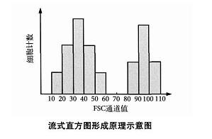 丁香实验推荐阅读