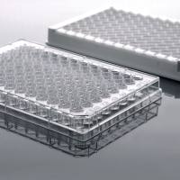 NEST 可拆式酶标板（白框+白孔）504271