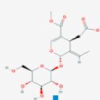 木樨榄苷-11-甲酯