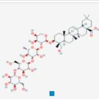 灰毡毛忍冬次皂苷乙