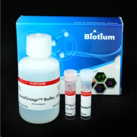 AccuOrange 蛋白定量试剂盒 30071