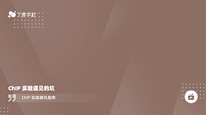 丁香实验推荐阅读