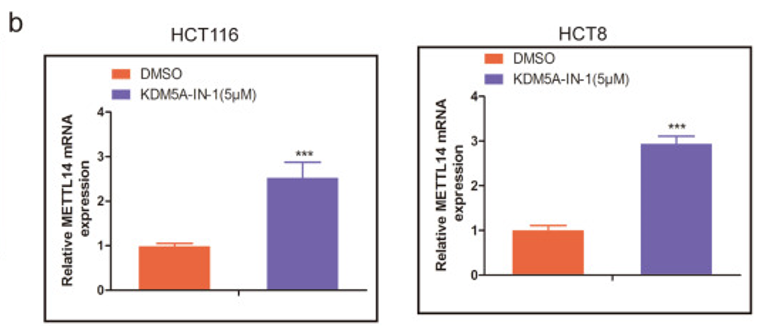 组蛋白修饰调控m6A修饰：METTL14抑制结直肠癌转移