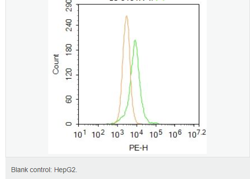 精子顶体前体蛋白抗体