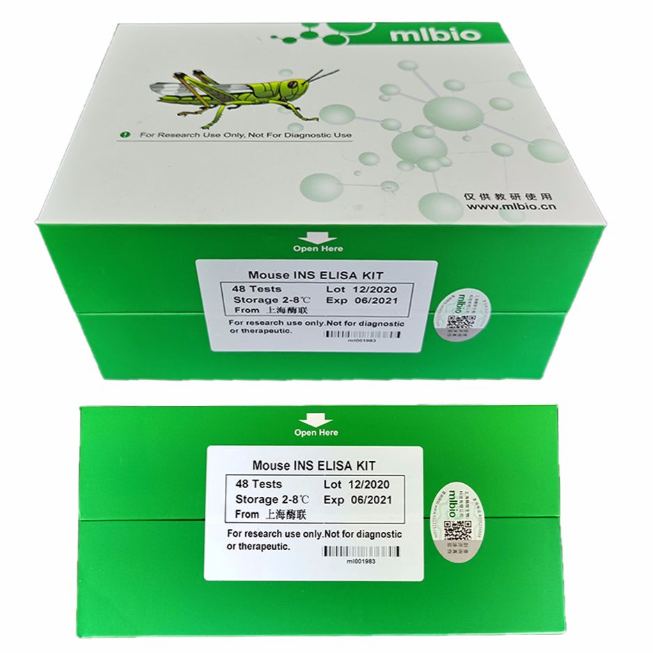 人缪勒管抑制物质-抗缪勒管激素(MIS-AMH)ELISA试剂盒