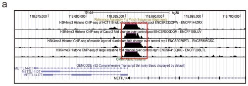 组蛋白修饰调控m6A修饰：METTL14抑制结直肠癌转移