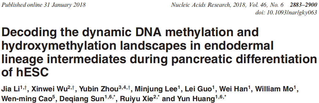 基因组甲基化与染色质可及性有相关么？来看胰腺发育分化过程研究吧