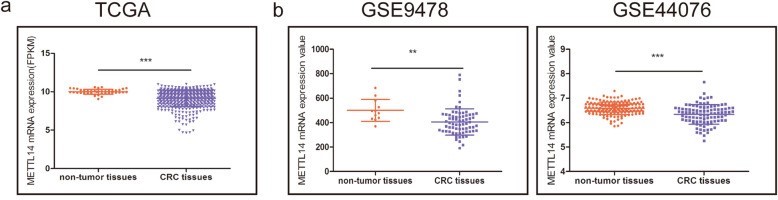组蛋白修饰调控m6A修饰：METTL14抑制结直肠癌转移