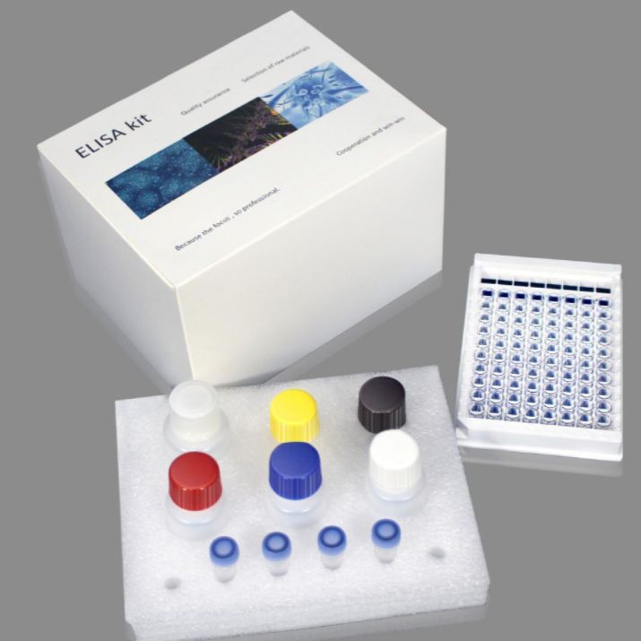 人磷酸化细胞外信号调节激酶(pERK)ELISA试剂盒