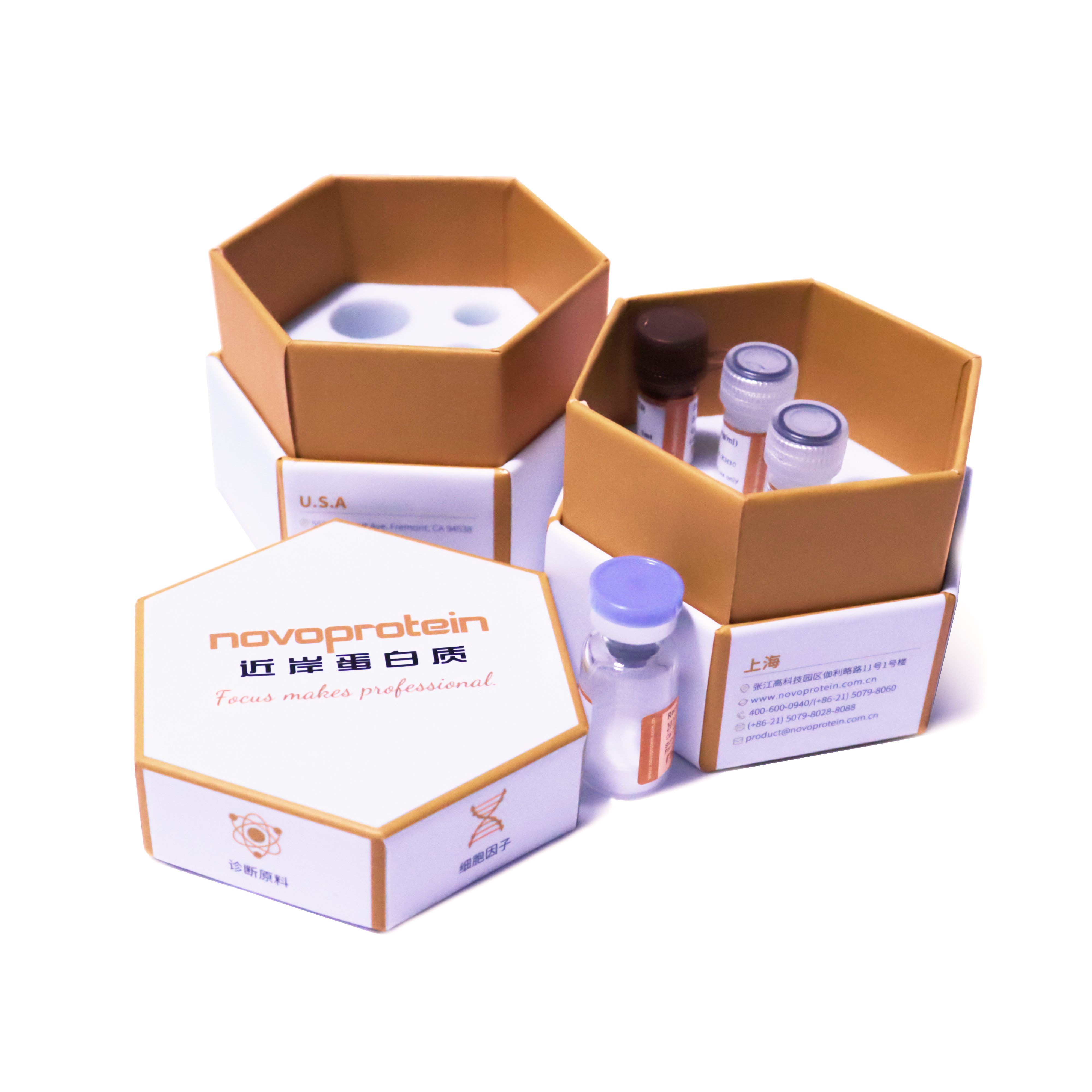 Recombinant Mouse IFN alpha2 产品图