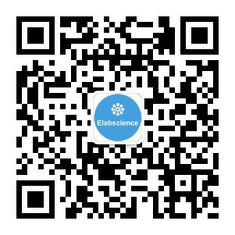 上新 | 铁含量测试盒,7折限时优惠