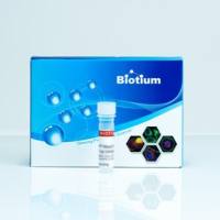 SR101-PEO8 SE, 或 Texas Red-PEO8 SE