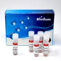 SYNAPTOGREENTM C4 (SPECIAL PACKAG), 1mg 70022