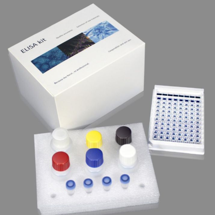人D二聚体(D2D)ELISA试剂盒