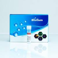 Biotium BIOTIN-cAMP 00020