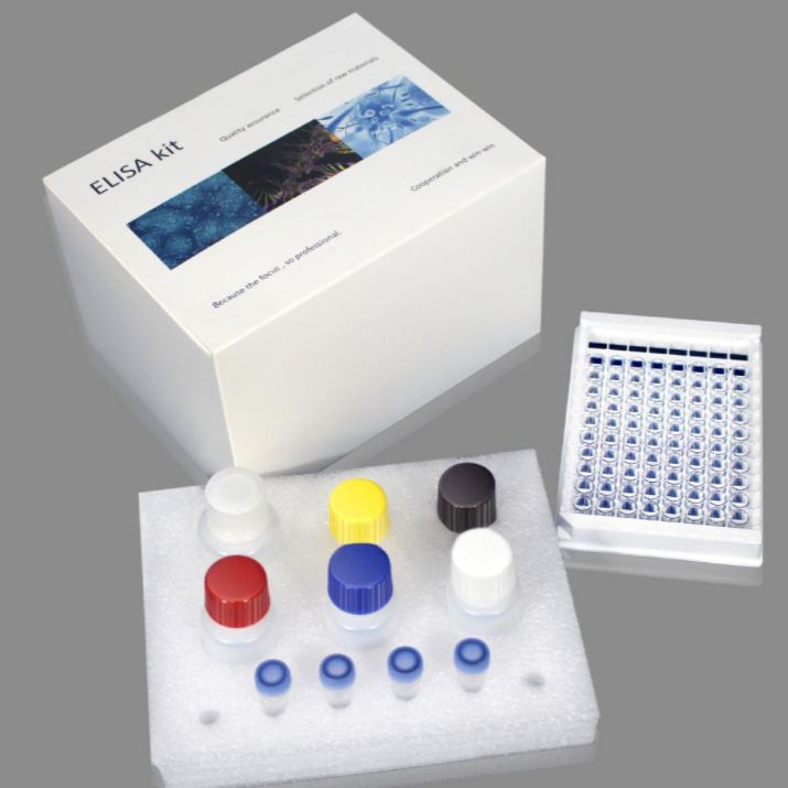 人免疫球蛋白A(IgA)ELISA试剂盒