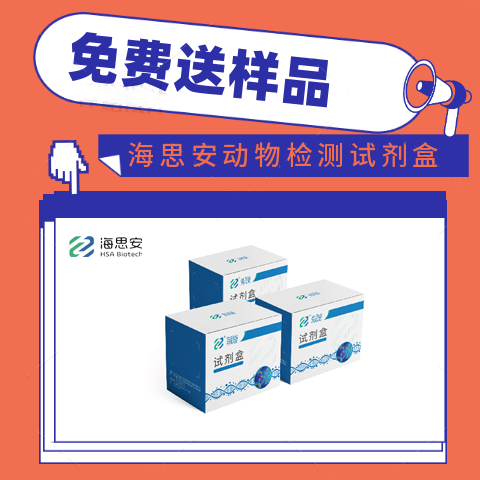 小鼠肺炎病毒(PVM)ELISA抗体检测试剂盒