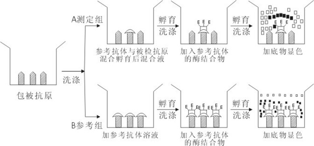 ELISA的原理及基本类型