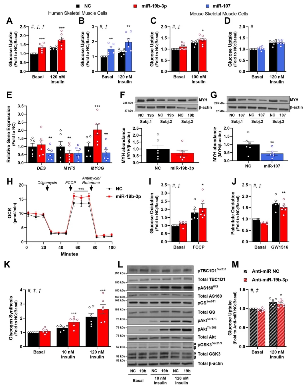miRNA新研究进展盘点（20211021）
