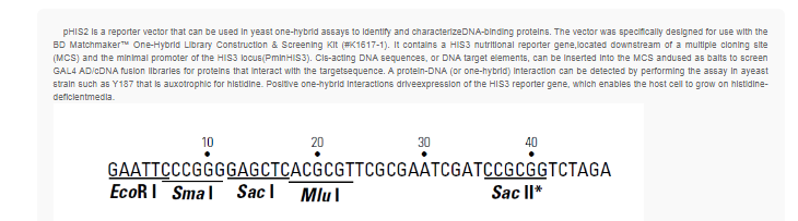 pHIS2酵母单杂交质粒
