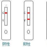 胃幽门螺旋杆菌抗原快速检测试剂（血清）