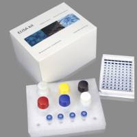 小鼠β内啡肽受体(β-EPR)ELISA试剂盒