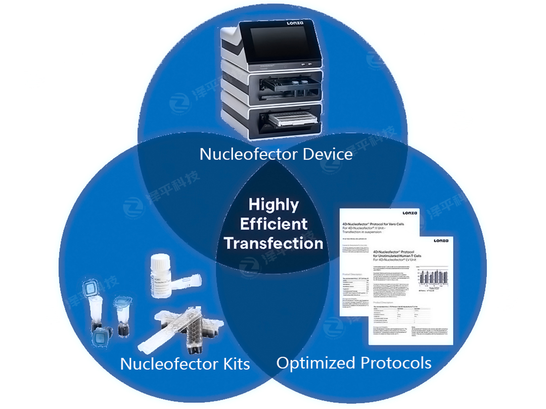 转染仪器进口品牌