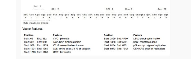 pBT3-N膜蛋白双杂交质粒