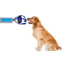 便携式呼吸测量仪