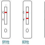 产品封面图