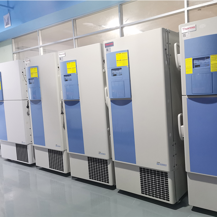 二手thermo超低温冰箱，490L，905GP-ULTS