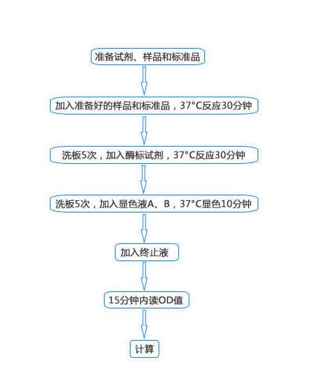 人免疫球蛋白重链(IgH)ELISA试剂盒