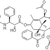 10-DAB半合成紫杉醇