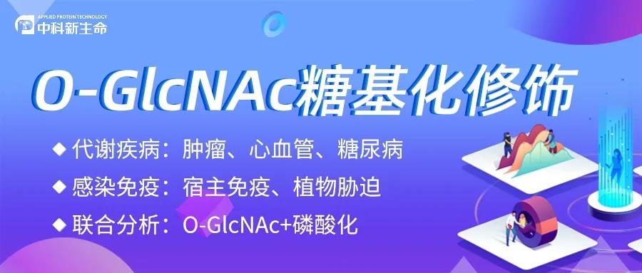 新品来袭，“糖”分超标 | O-GlcNAc糖基化修饰蛋白组重磅发布
