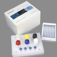 小鼠抗IgE受体抗体ELISA试剂盒