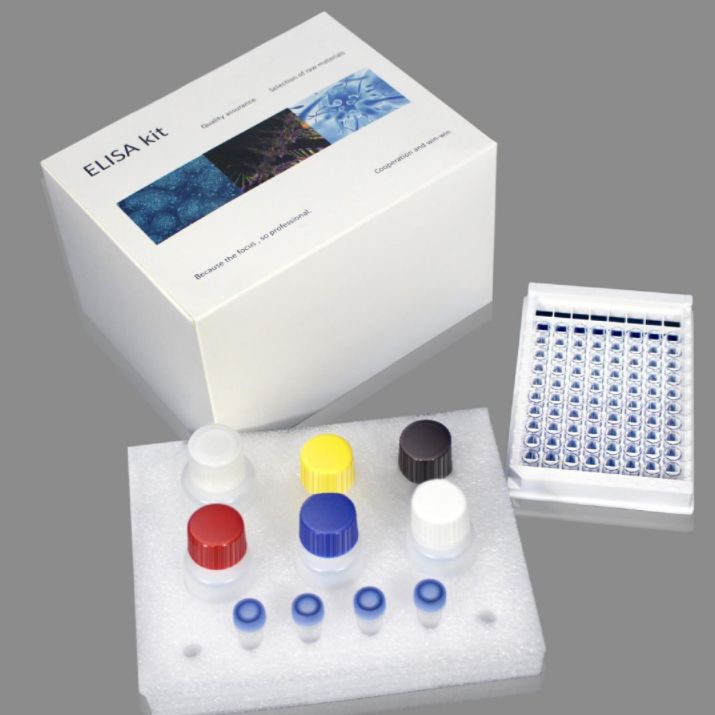 小鼠结合珠蛋白/触珠蛋白(Hpt/HP)ELISA试剂盒