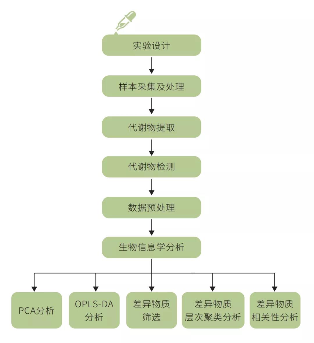 技术介绍 | 土壤代谢组学