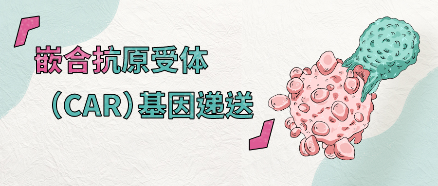 载体家小课堂 | 嵌合抗原受体（CAR）基因递送