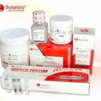 大肠埃希氏菌 CMCC（B） 44568