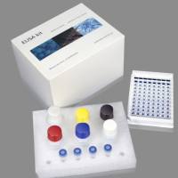 大鼠可溶性Toll样受体6(sTLR6)ELISA试剂盒
