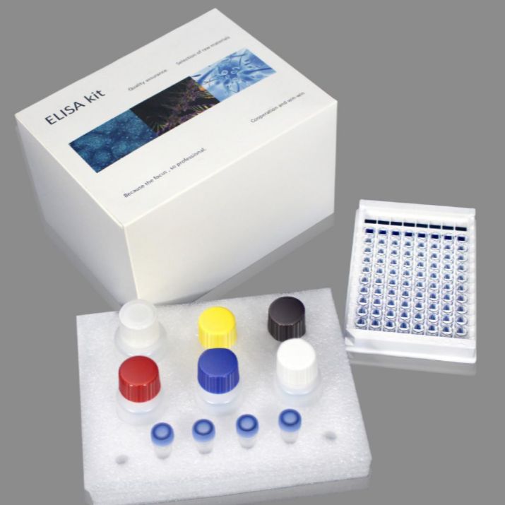 大鼠白介素2受体(IL-2R)ELISA试剂盒