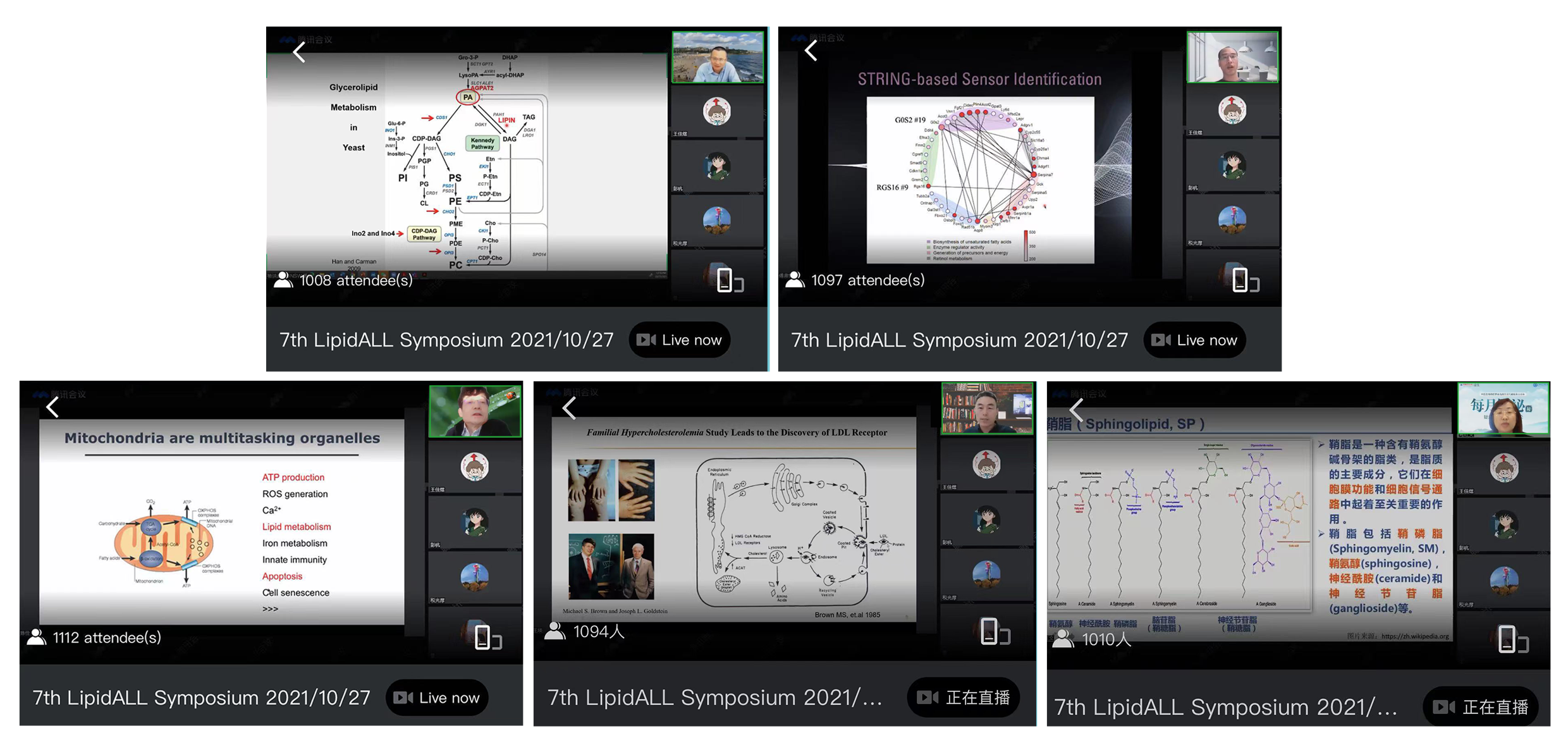 第七届LipidALL脂代谢主场会议成功召开
