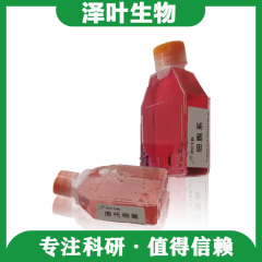 泽叶生物 | 研选好物，11.11狂欢季