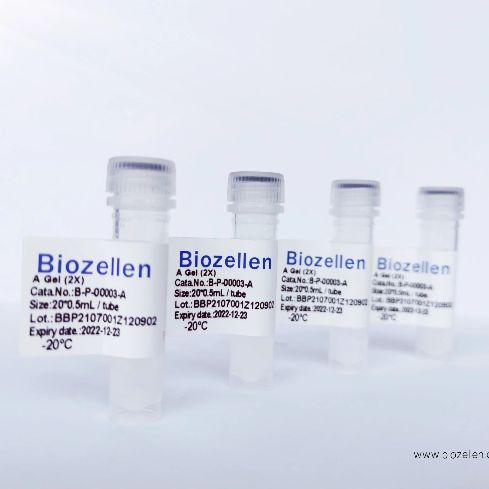 Biozellen®3D类器官培养基质胶套装