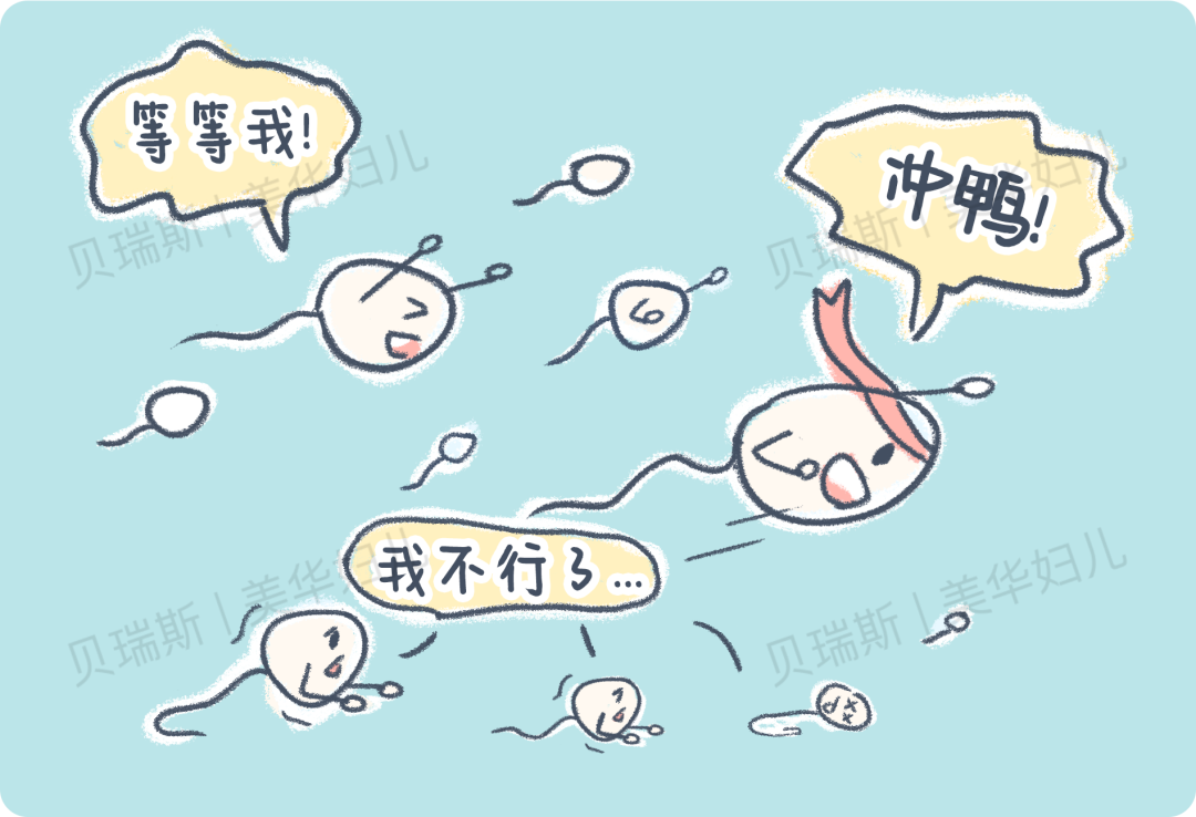 8 个男友「精子」的真相，每个姑娘都该知道！