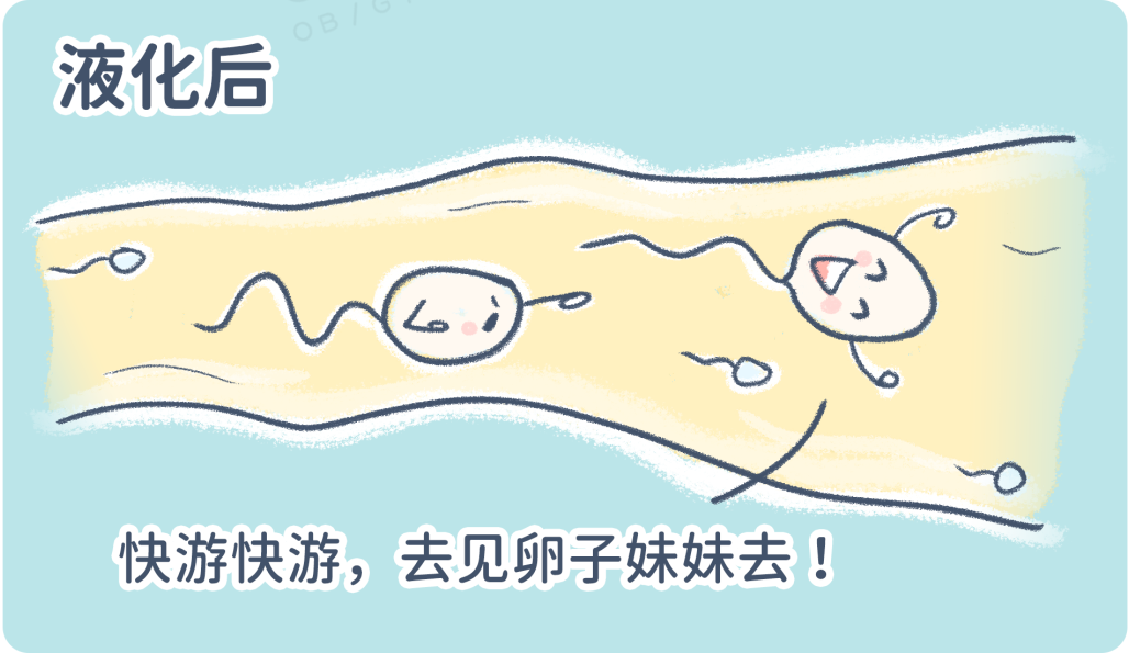 8 个男友「精子」的真相，每个姑娘都该知道！