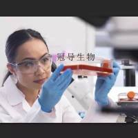 C918 Cell;C918细胞系(STR鉴定图谱)