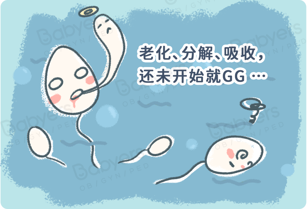 8 个男友「精子」的真相，每个姑娘都该知道！