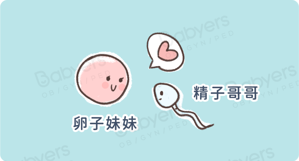 8 个男友「精子」的真相，每个姑娘都该知道！