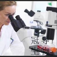 chHES-121 Cell;chHES-121细胞系(STR鉴定图谱)